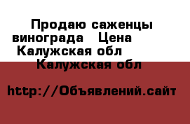 Продаю саженцы винограда › Цена ­ 350 - Калужская обл.  »    . Калужская обл.